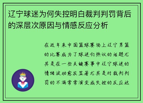 辽宁球迷为何失控明白裁判判罚背后的深层次原因与情感反应分析