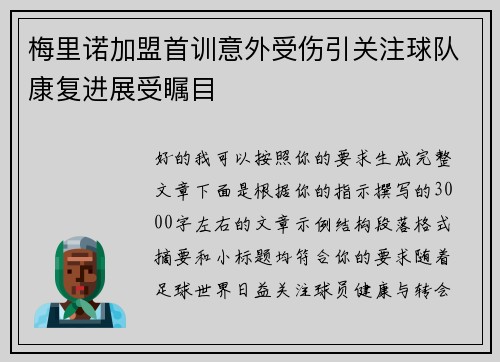 梅里诺加盟首训意外受伤引关注球队康复进展受瞩目
